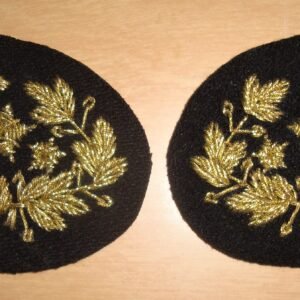 Confederate General Collar Insignia--George Pickett style (BLACK)