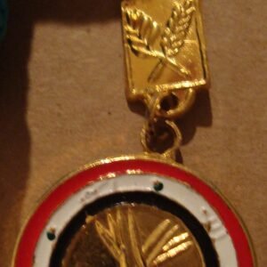 Mother of all Battles Medal for Iraqi Heroes