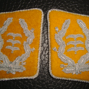 Luftwaffe Colonel Collar tabs (ala Colonel Klink in "Hogan's Heroes"
