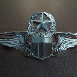 US Air Force Epert Pilot Wings
