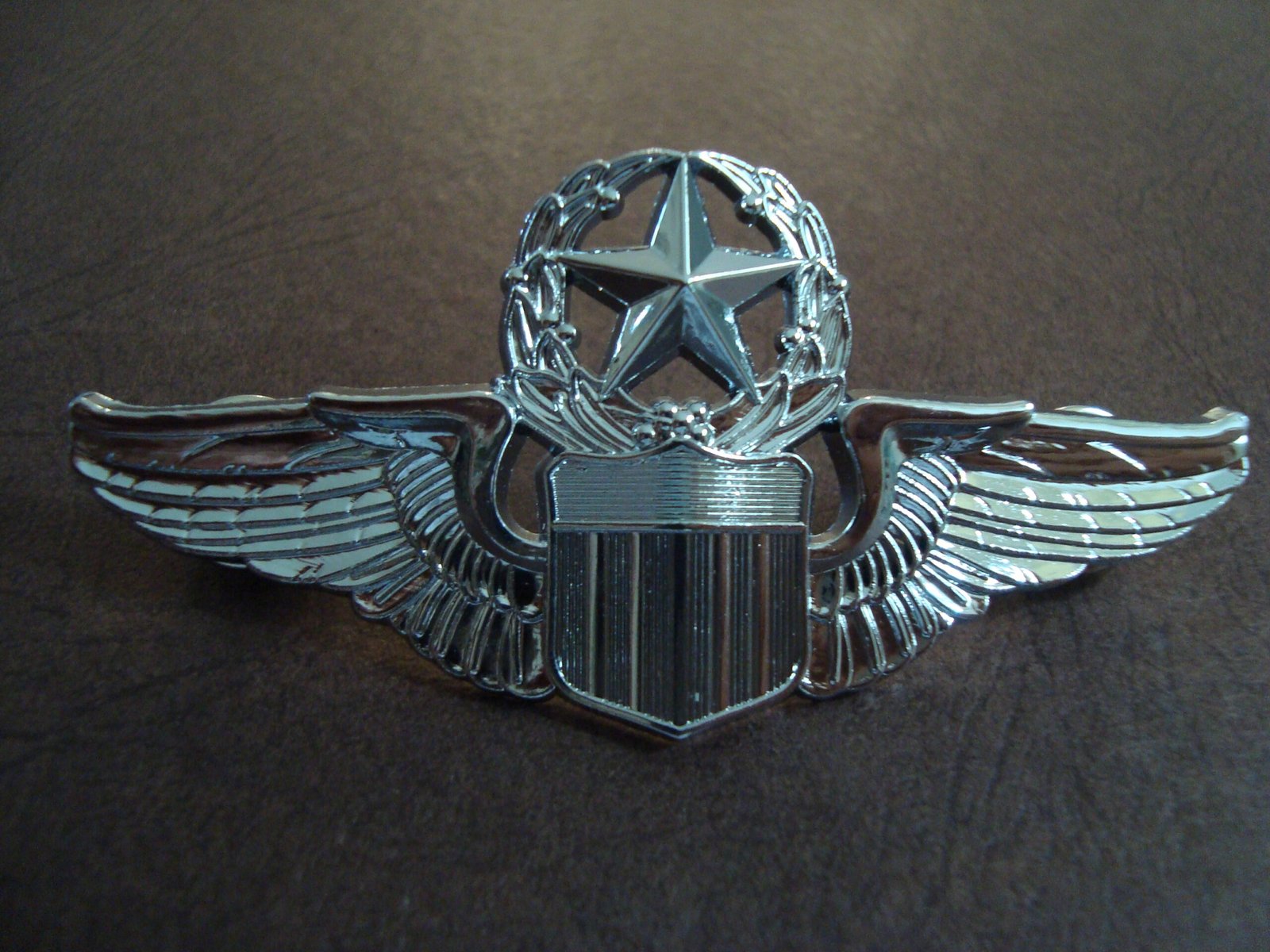 US Air Force Epert Pilot Wings